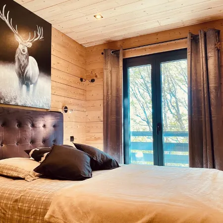 Sublime Bas de Chalet de Standing en Duplex Aux Angles -Space for Billiards and Cinema