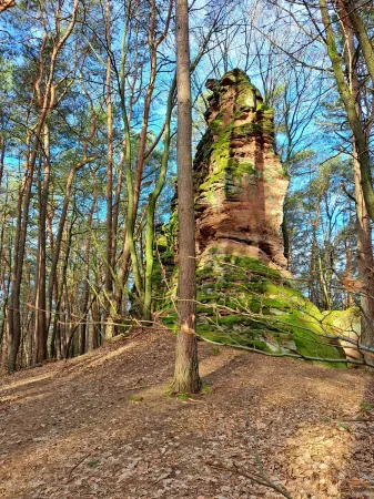 Vacation cottage directly in the Palatinate Forest