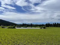 Amazing mountain views, daily wildlife show and a cozy log house for serenity.