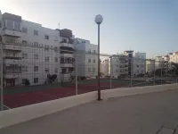 South Juan palms