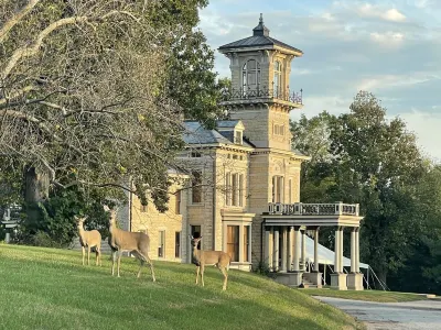 Renwick Mansion Guest House Hotels near Sugar Shack
