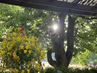Urlaub mit Feldblick