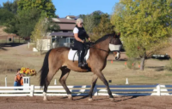 for animal lovers - cute, little Bunkhouse attached to the horse barn