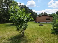 New on market.  Cabin with 3 beds and 3 baths surrounded by forest Hotels in Springville