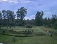 Gorgeous 4Br Log Retreat on 40 Acres —Pond View – Mid-Michigan—sleeps 11+