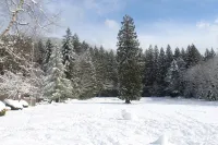 Escape to Whispering Woods #454!! --- Mt. Hood Village, OR Hotels in Welches