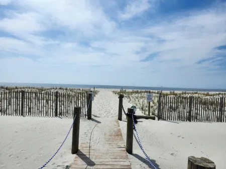 Winter at the Beach, Family's Welcome.