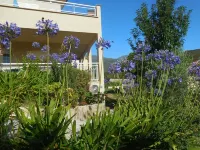 Discover the originality of CAP (P.M.R. access)7 pers Hotels in Sisco