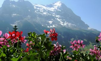 Alpenhof
