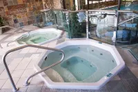 Carson Valley Motor Lodge and Suites - spa