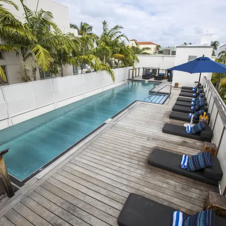 Posh South Beach Отели рядом с достопримечательностью «Фламинго Парк»