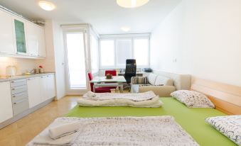 City Centre Studio with a Balcony and Free Parking