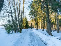 Gemütliches Chalet an den Skipisten