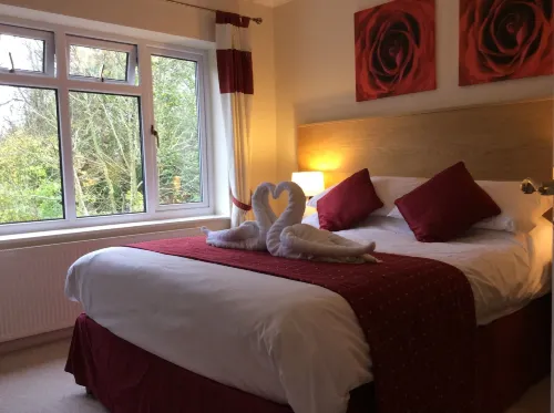 Avonpark House - Homestays