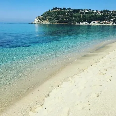 Bloom Tropea