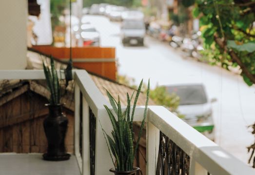 루앙프라방 야경 및 수영장