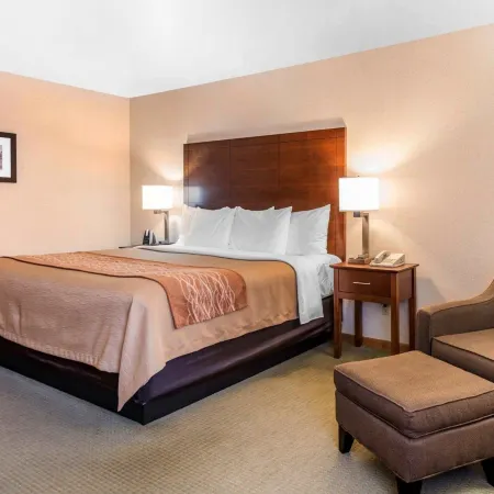 Comfort Inn Salida