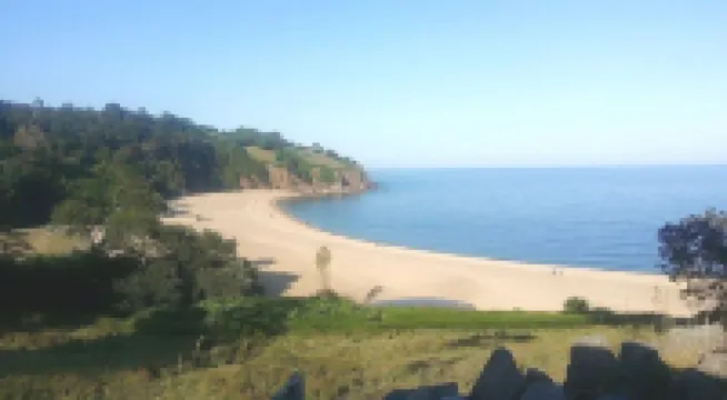 쉬나스 다트머스 샬레