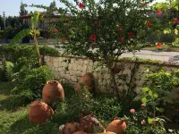 Kilim Hotel & Apart Hotels in Fethiye