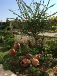 Kilim Hotel & Apart Hotels in Babatasi Mahallesi