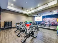Grand 1Br King Suite Close to Downtown w Fast Wifi - Kuntosalit