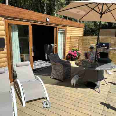 Cedar Boutique Lodge-Dog, Fishing and Spa Access Hotel Exterior