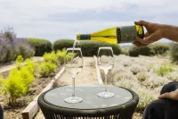 La Foresteria Planeta Wine Resort & Beach Club - bar