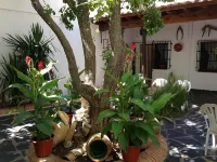 Casa Rural El Rincon del Infante Hotels in La Mancha