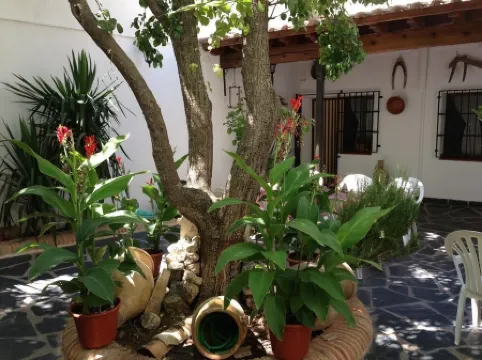 Casa Rural El Rincon del Infante