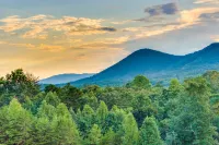 Cozy dog-friendly cabin w/private hot tub, jetted tub & great screened-in deck Hotels in White County