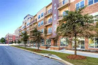 Charming Retreat Steps from Attractions - Comfortable Stylish Escape