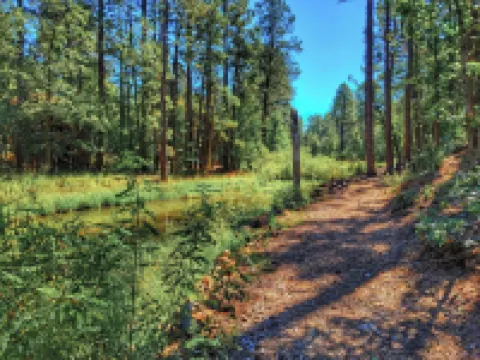 Creekside Retreat - Charming Cabin w/Deck, A/C, Firepit, & Billy Creek View