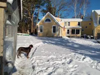 A fun filled,family friendly, farmhouse home, rural,but close to all amenities