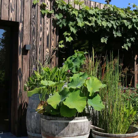 Clos des Poulies