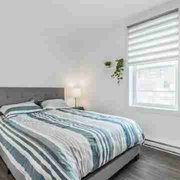 Plaza apartments Rooms