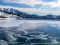 Mountain View Cabins Hotele w: Wrightwood