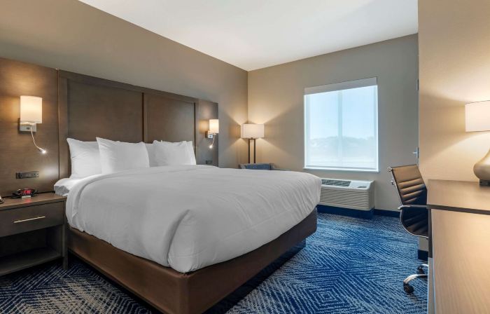 Comfort Inn & Suites Balch Springs - SE Dallas