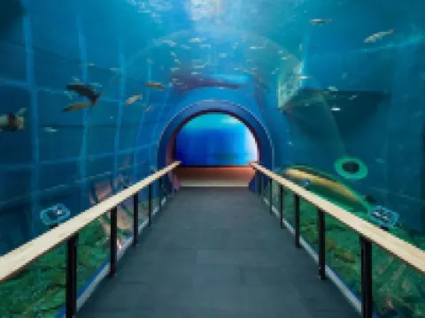 Hotel Palms - Adults Only Hotels in Moriyama