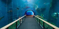 Hotel Palms - Adults Only Hotels in Moriyama