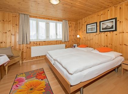Hotel Alpina