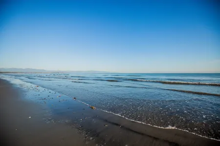 Appleby House & Rabbit Island Huts Отели в г. Раби Бэй