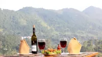 Dream Mountain Resort