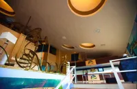 Barrudada Tropical Hotel Hotels in Santarem