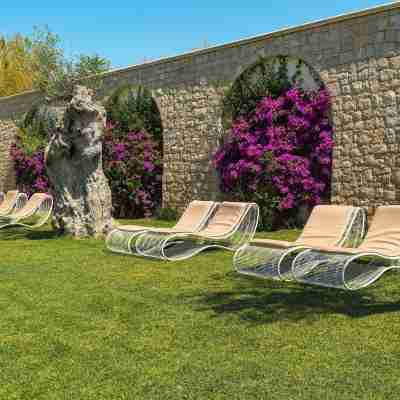 Victoria Palace Hotel & Zen Wellness Hotel Exterior