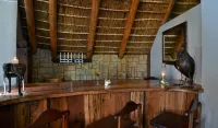 Garden Route Safari Camp - bar