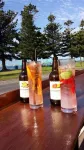 Grand Tasman Hotel Hotels in Charlton Gully