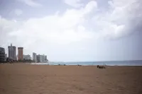 カサ ウィルソン イン