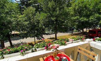 Hotel Alegro