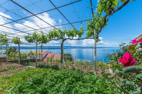 Apartments Jasna Hotels in Omiš