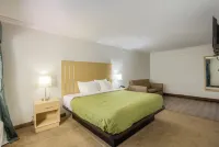 Quality Inn Gulf Shores Airport